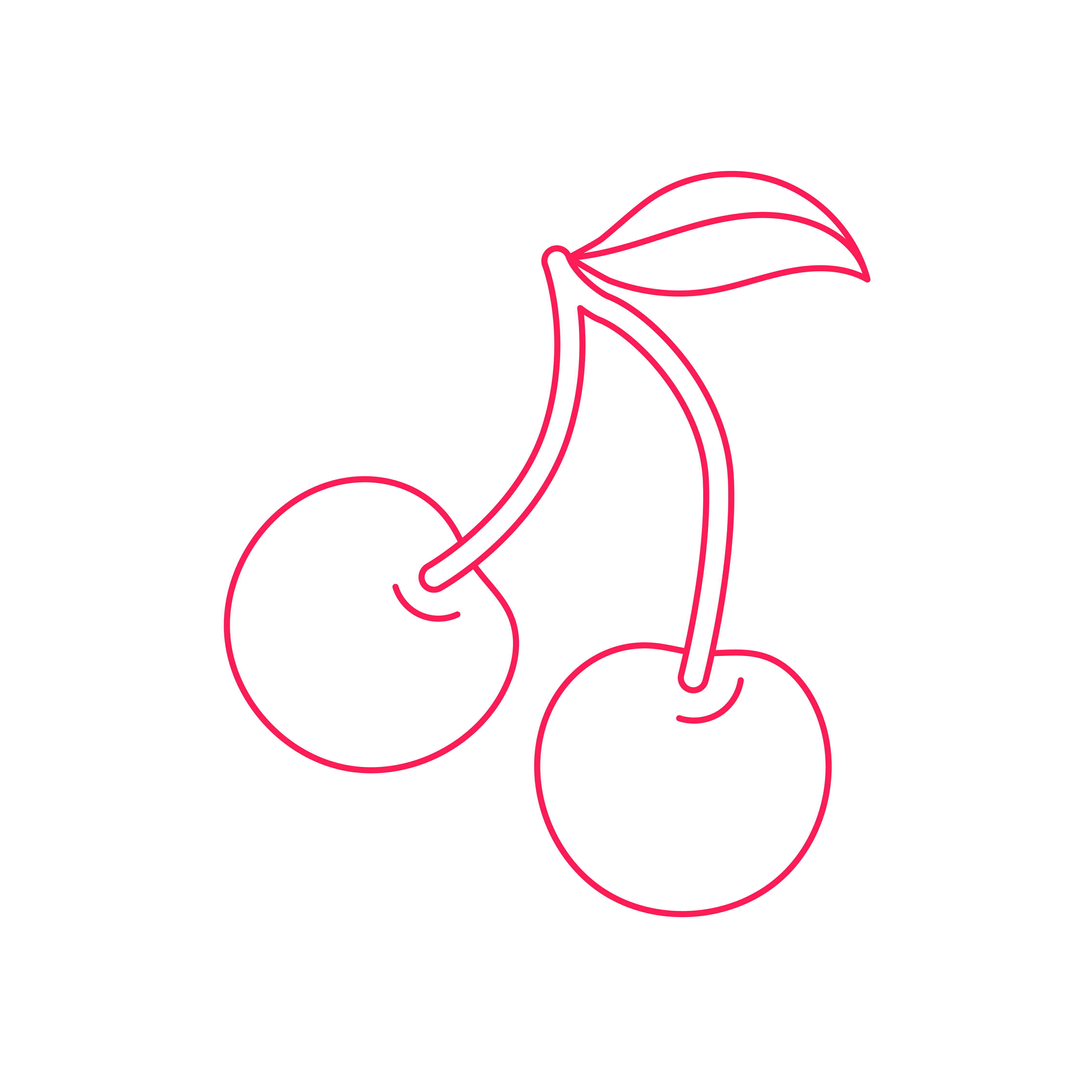 Maraschino Körsbär