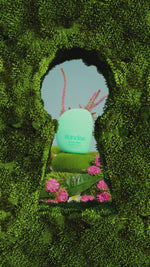 Lataa video gallerian katseluohjelmaan Garden Party Hair &amp; Body Mist
